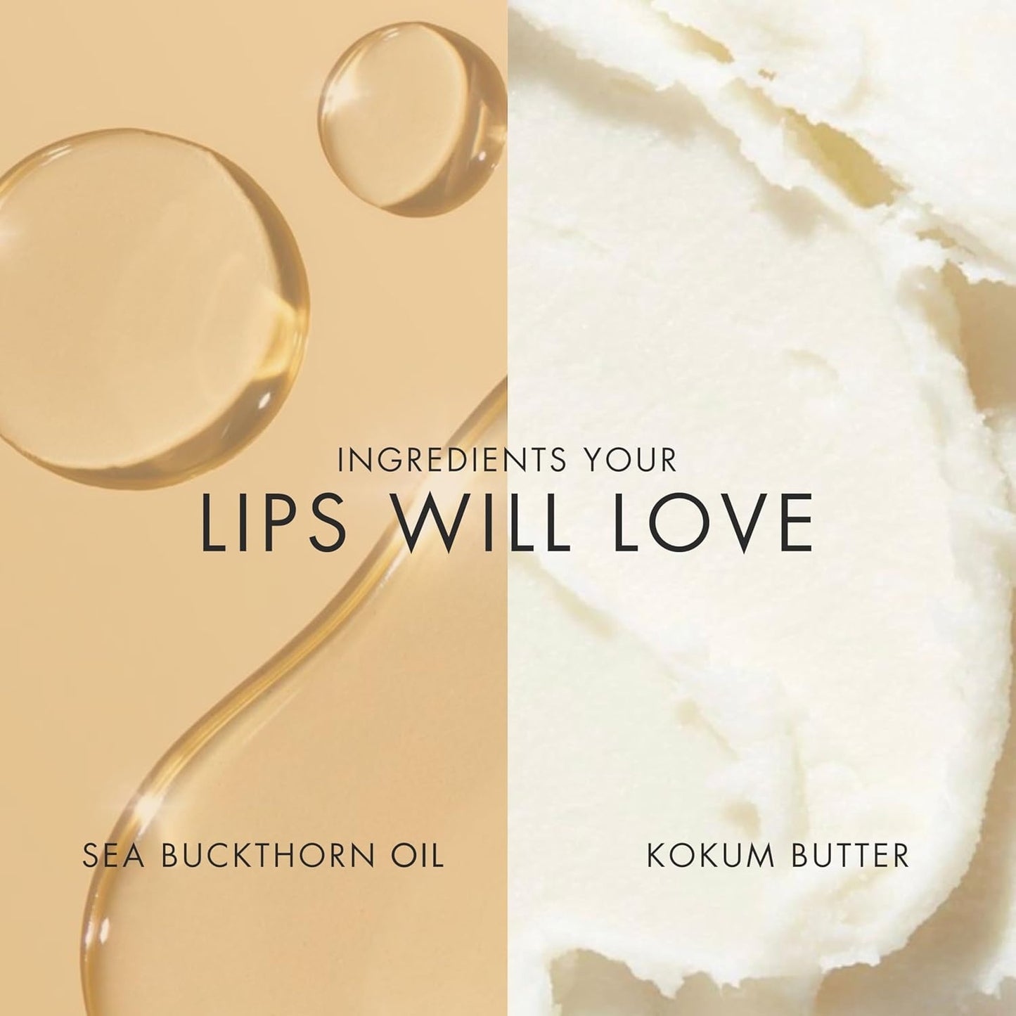 Tinted Lip Oil with 24Hr Hydration | Vegan, Lightweight & Glossy