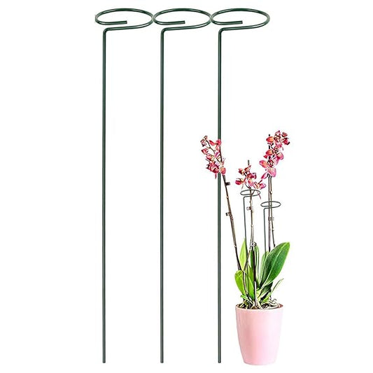 16-inch Metal Plant Stakes | Single Stem Flower Support | Pack of 3 Garden Trellises