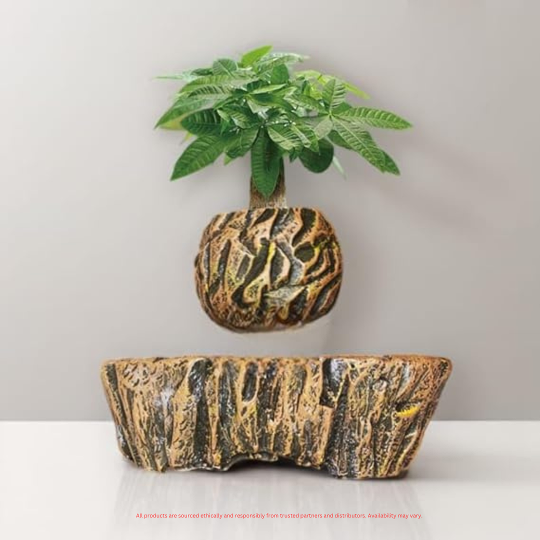 Smoky Quartz Stoned Floating Levitating Plant Pot | Gravity-Defying Bonsai Planter | Perfect Lavish Gift | Positive Energy Emitter